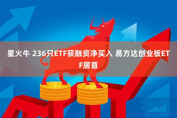 星火牛 236只ETF获融资净买入 易方达创业板ETF居首