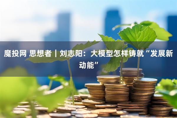 魔投网 思想者｜刘志阳：大模型怎样铸就“发展新动能”